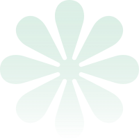 cs flower